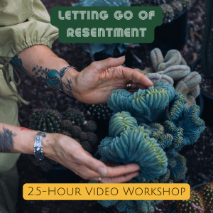 2.5 Hour Video Workshop on Letting Go of Resentment with Erika Wright